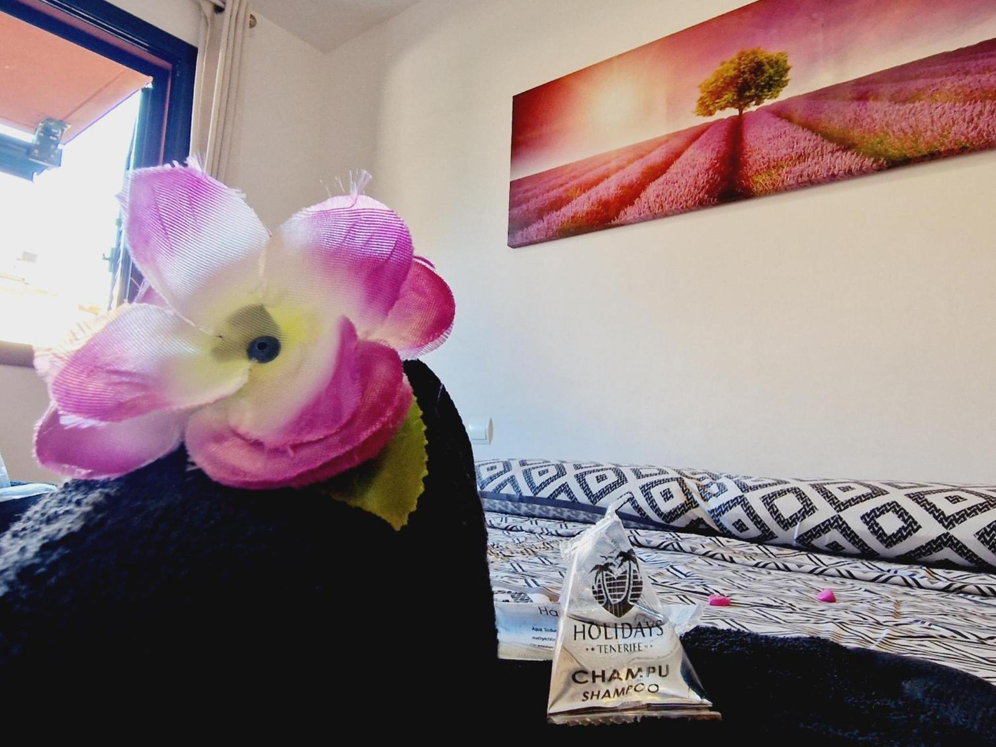 Paraiso 2 Bedroom Terrace Wifi Free プラヤ・パライソ エクステリア 写真